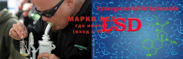 эйфоретик Алзамай