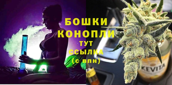индика Абдулино