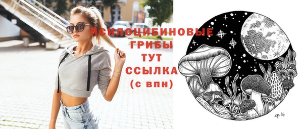 эйфоретик Алзамай