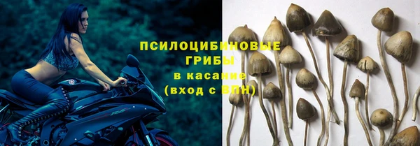 трава Алексеевка